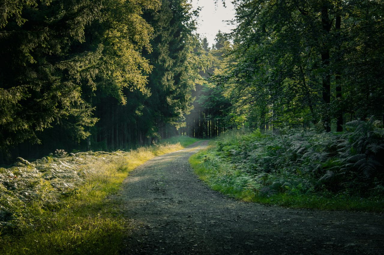 belgian ardennes