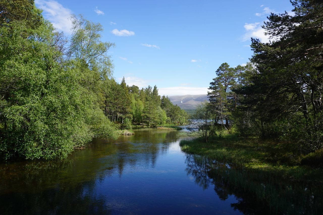 Glenmore