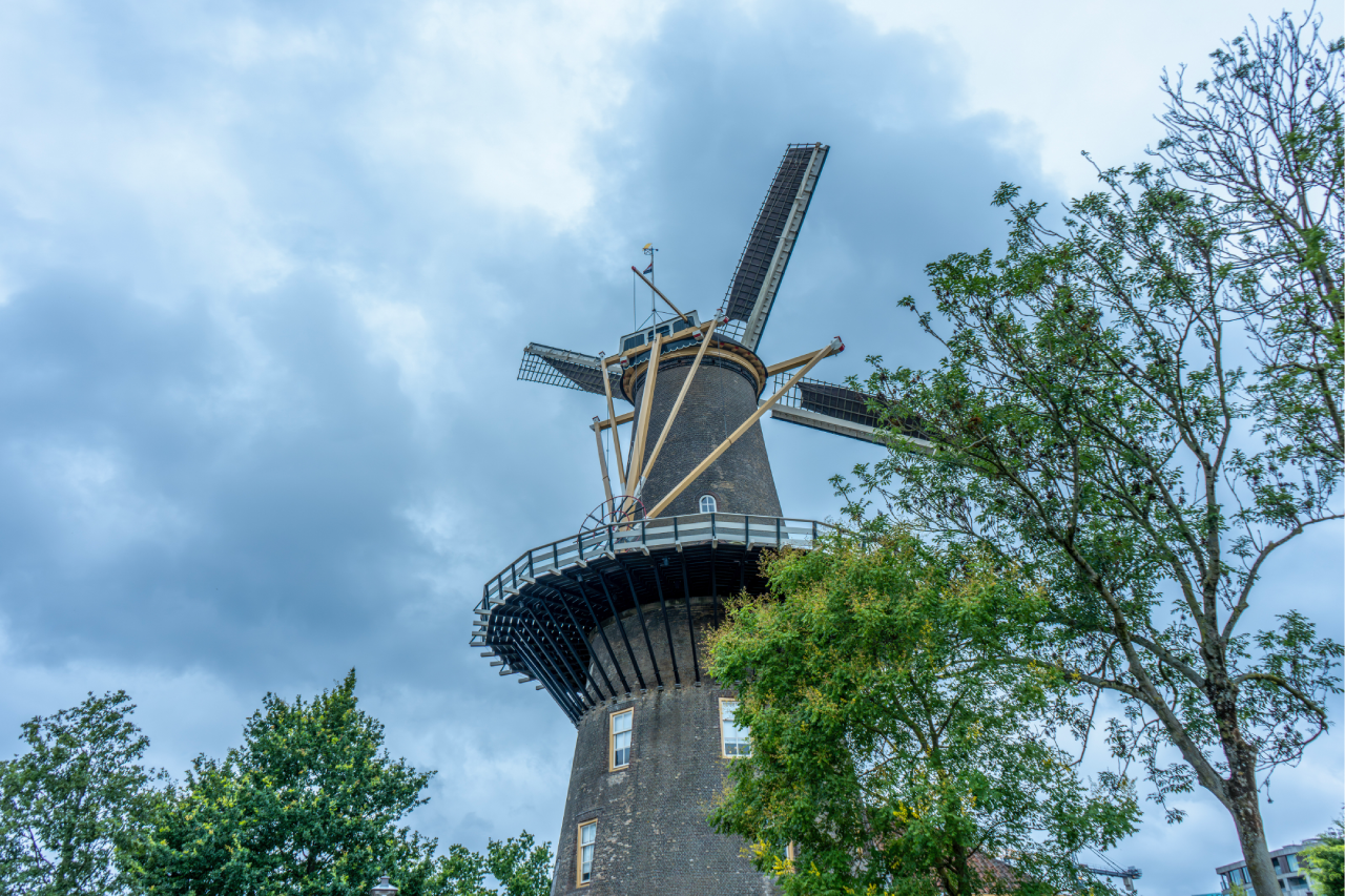 mlen de valk