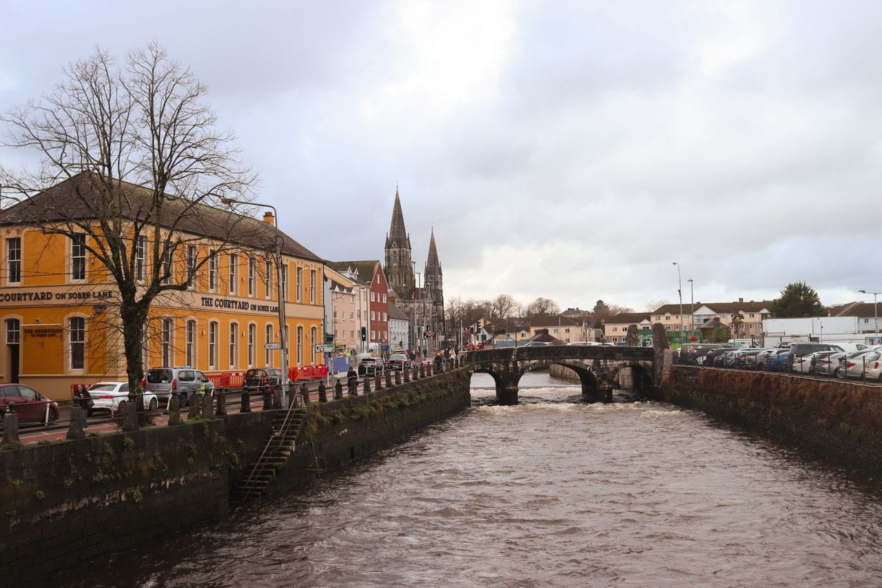 Cork