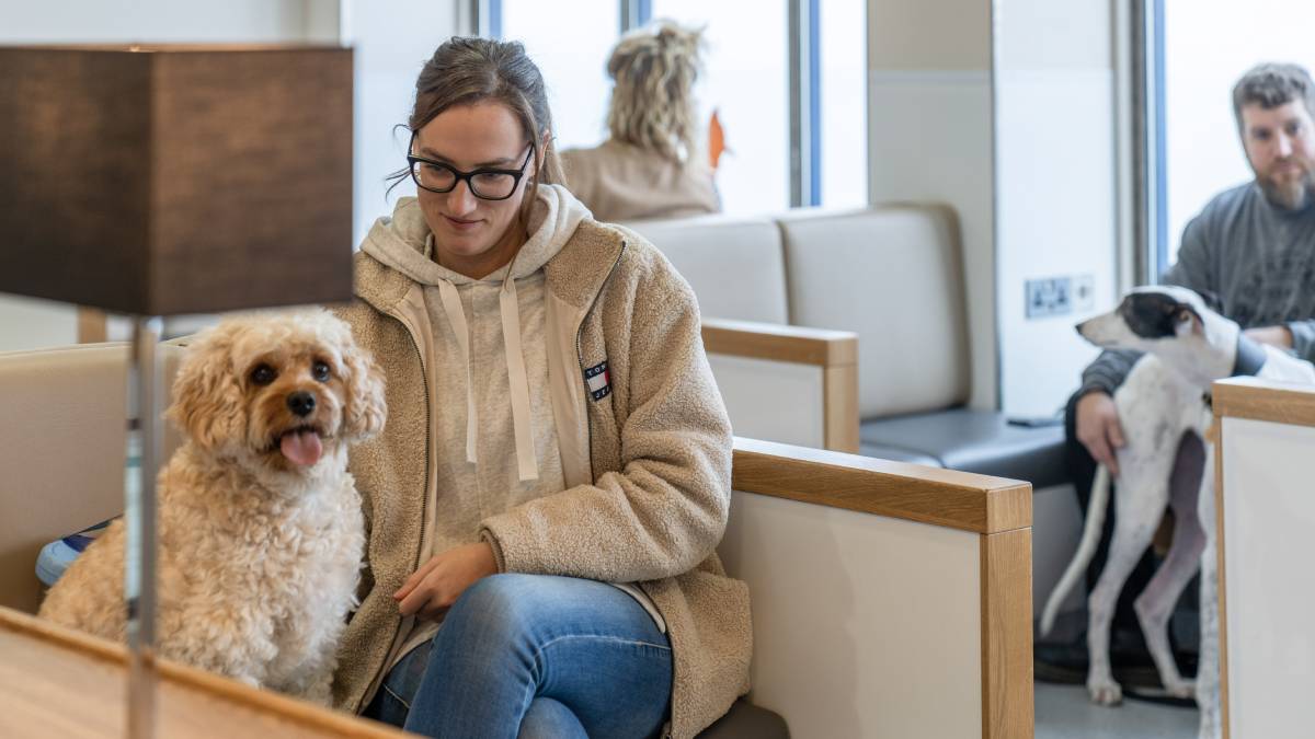 Best Rugby Places to Travel | Best Rugby Stadiums | P&O Ferries