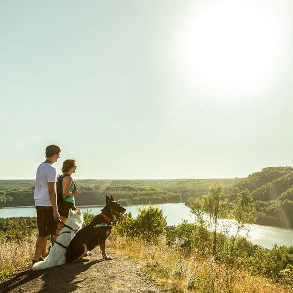 Limburg Visit Flanders with P&O Ferries