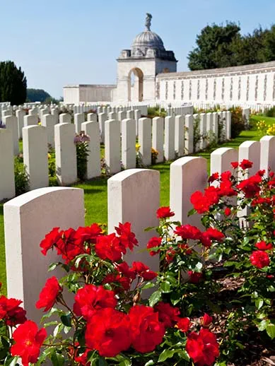 Poppies at Tyne Cot Cemetery