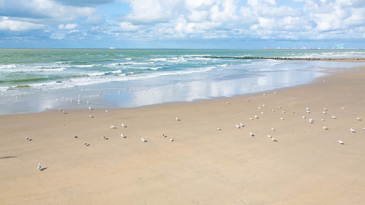 Blankengerge in Flanders Belgium