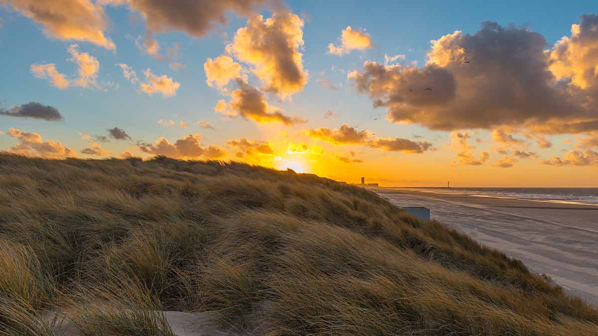 Beach sand dunes in Ostend Belgium