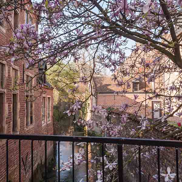 UNESCO World Heritage Grand Beguinage in Flanders