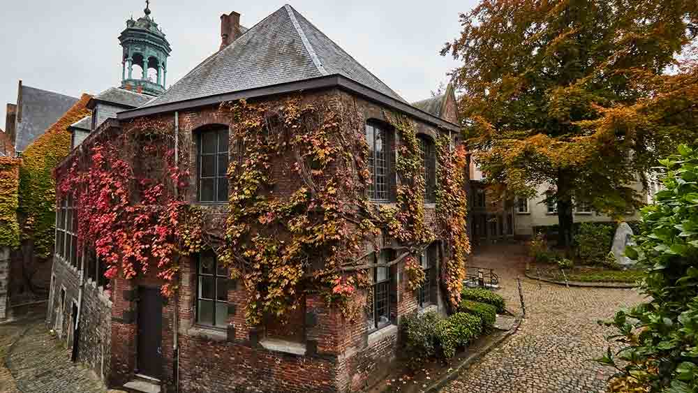 Old buildings and cobble streets of Mons