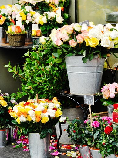 Flower stall at Ostend Market