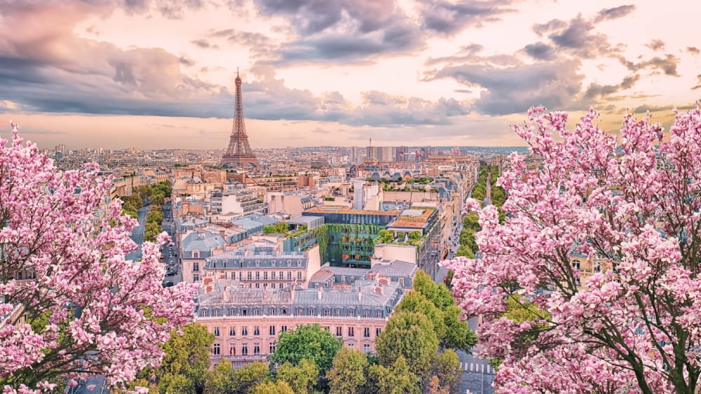 Spring in Paris 