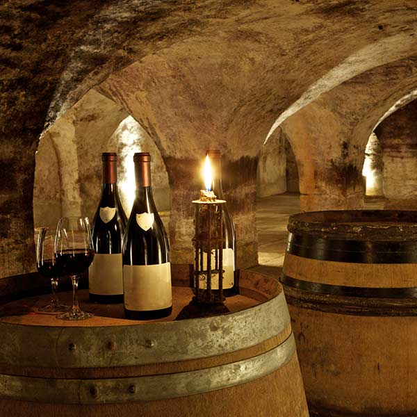 Red wine cellar, Burgundy vineyard