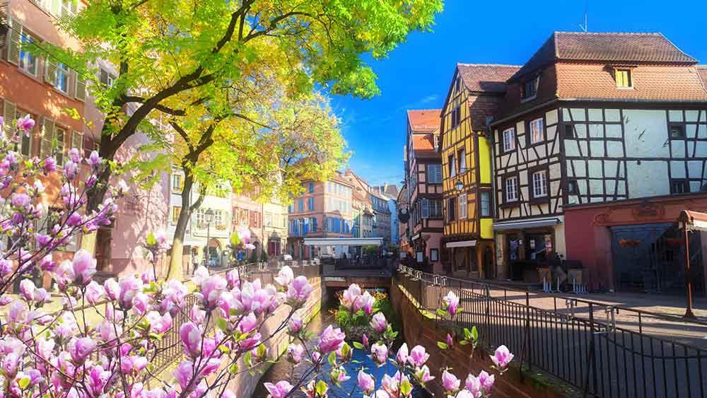 Flowers along a river in Colmar, France