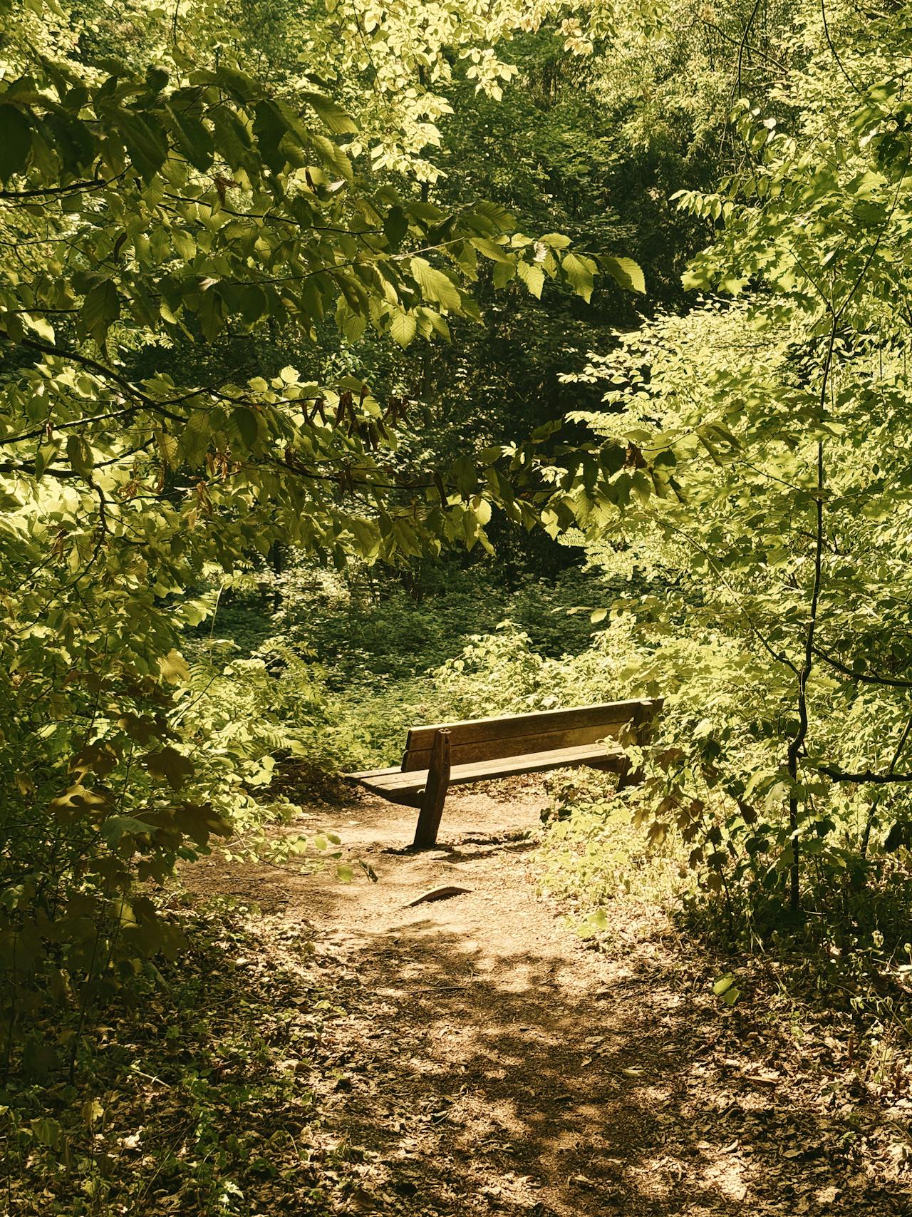 Stadswandel Park