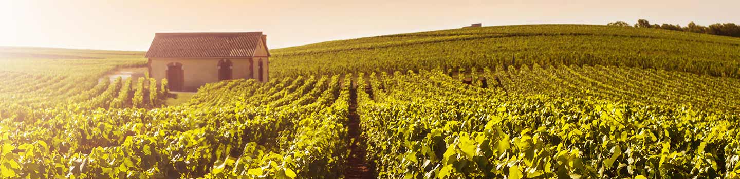 Reims Champagne Region in France