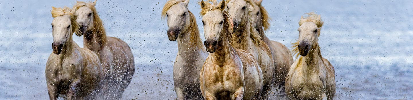 Romantic getaway in France