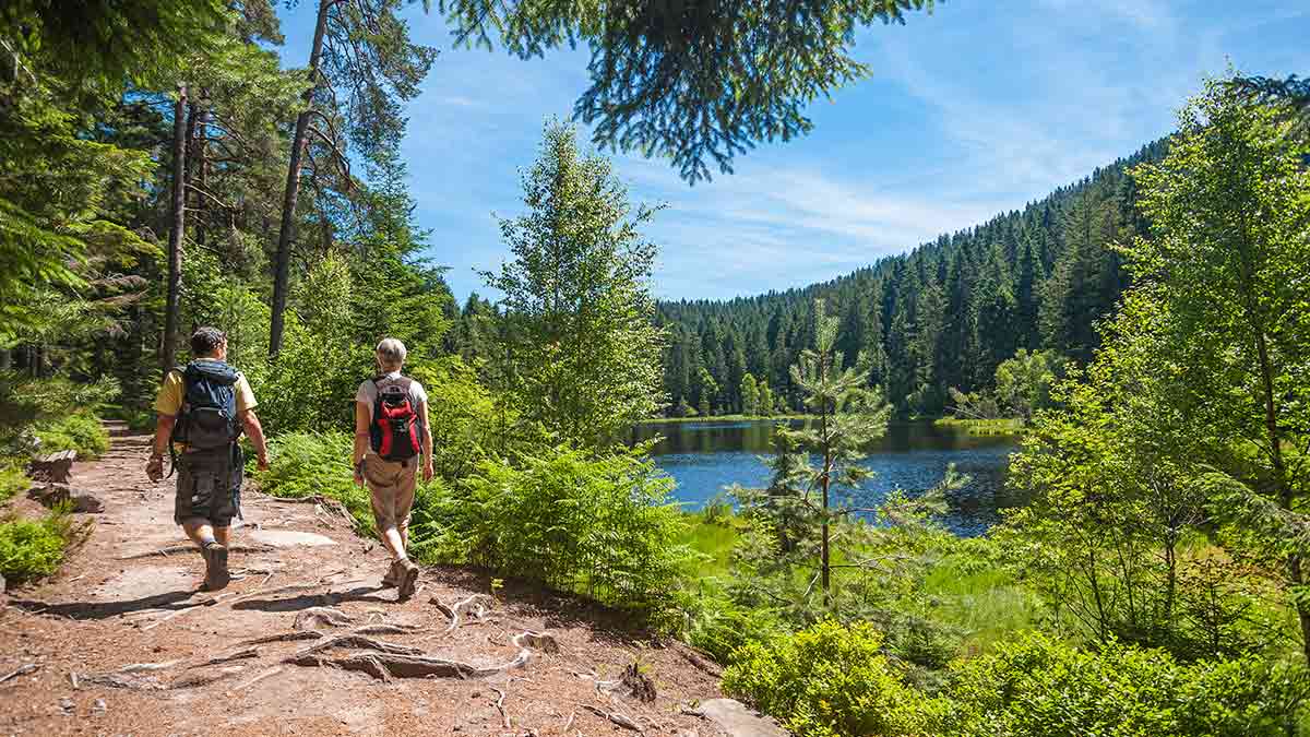 Hikers at Black Forest in Germany