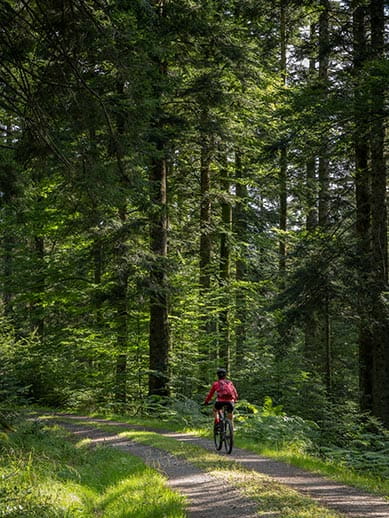Woman cycling in Black Forest region