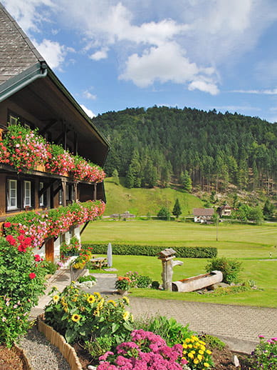 Idyllic Black Forest in Germany