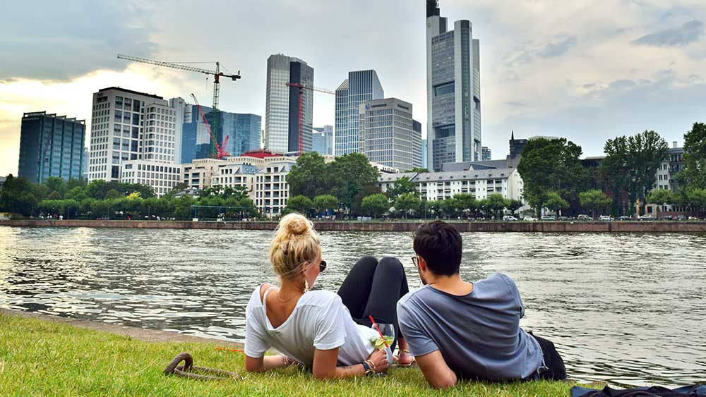 Summer in Frankfurt