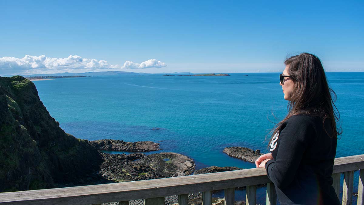 Northern Ireland coast