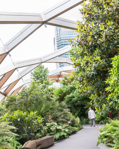 Crossrail Rooftop Garden, city of London
