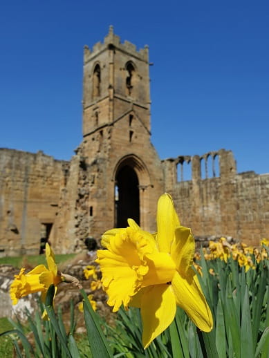 Cleveland Way - Mount Grace Chapel