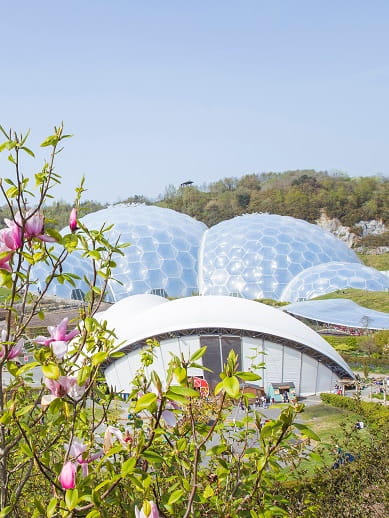 Ontdek het Eden Project