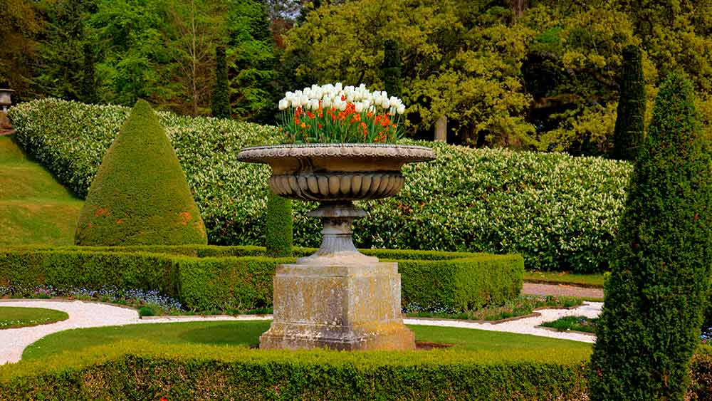 Formal gardens in Stately Home