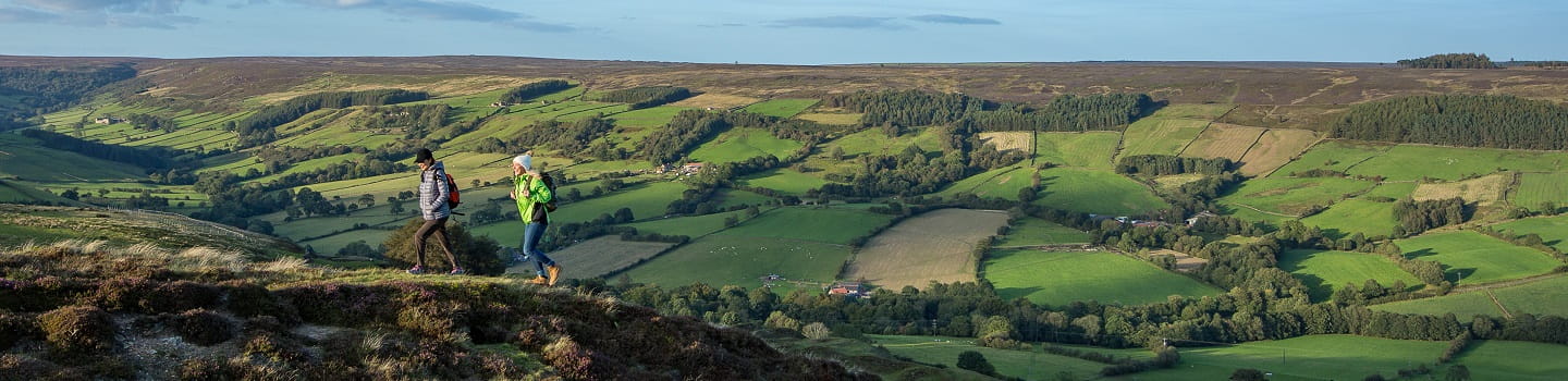 Que faire dans les North York Moors ?