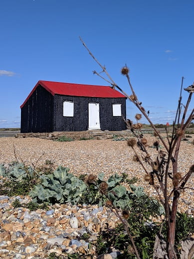 Rye Harbour Nature Reserve