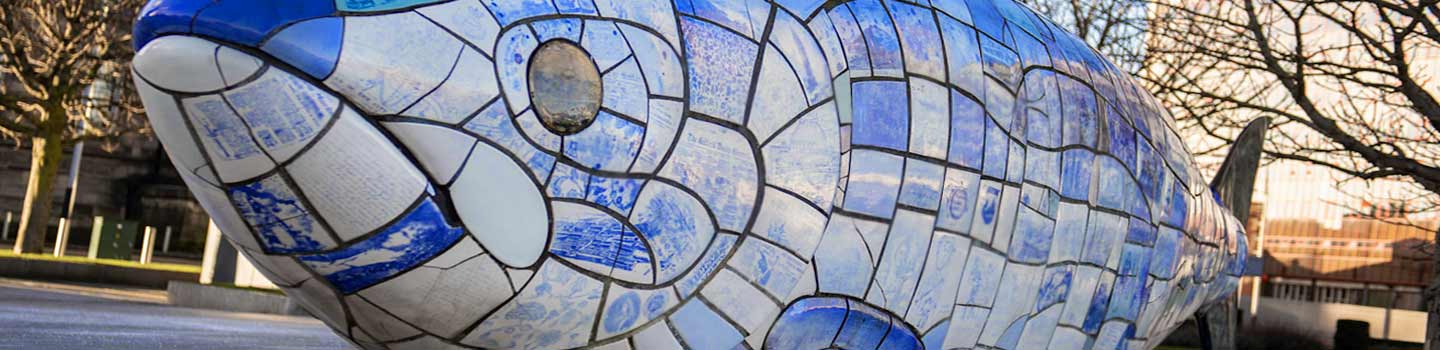 Big Fish Art in Belfast