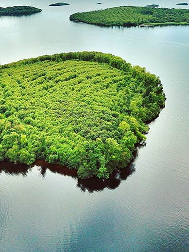 Les îles Lough en Irlande du Nord