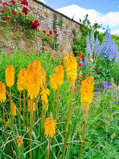 Ogrody botaniczne w Oksfordzie