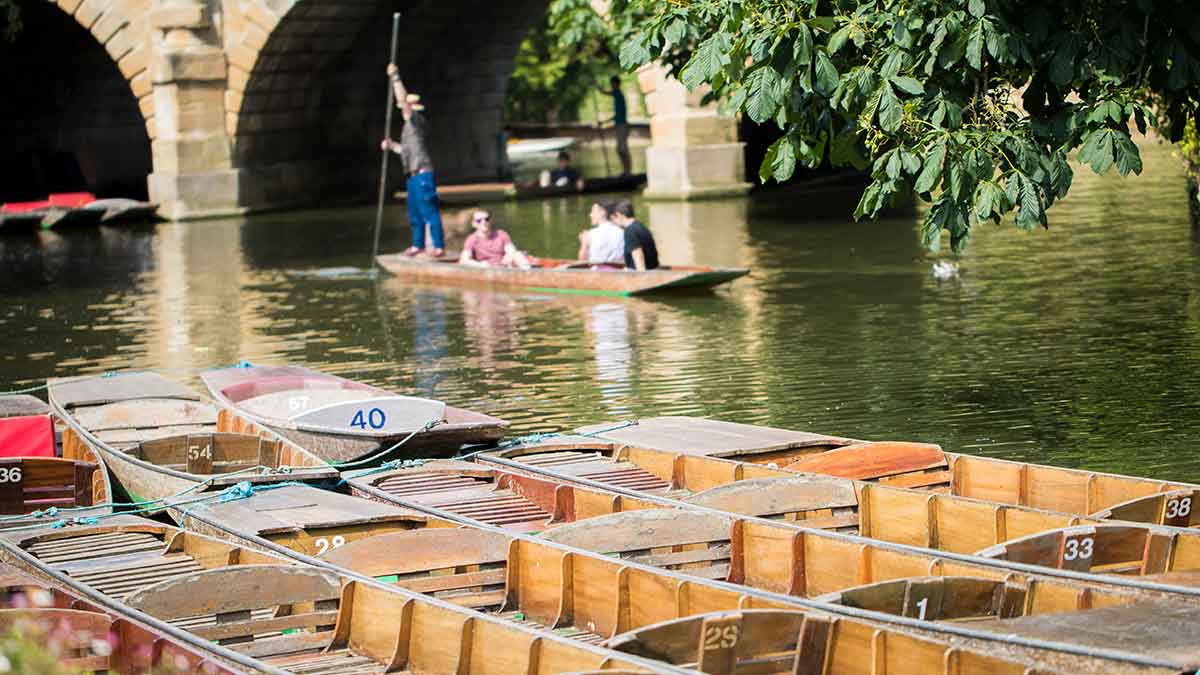 Doki barkowe w Oksfordzie