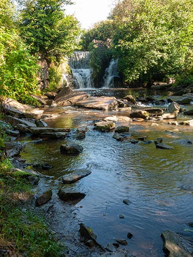 Pennllegare Valley Woods in Great Britain