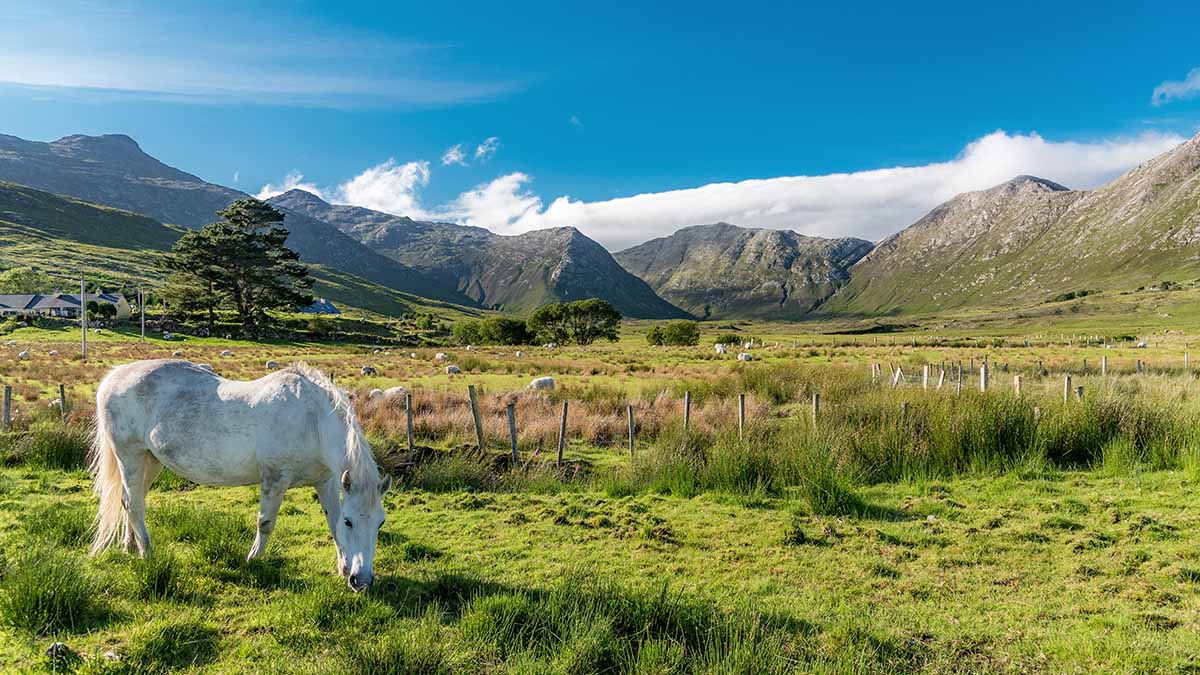 Connemara National Park in Galway