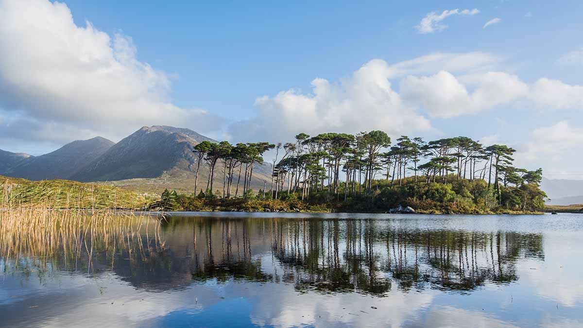 Connemara-Nationalpark, Galway