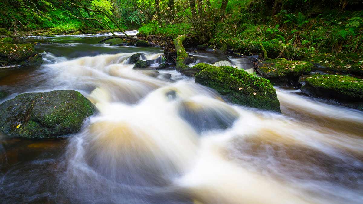 Clare Glens in County Limerick