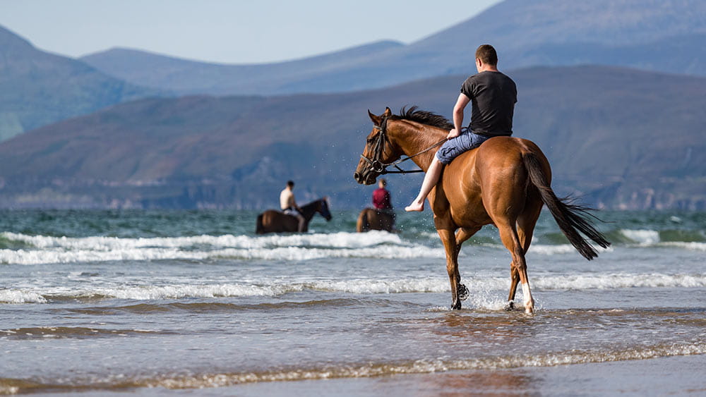 Horse riding in County Kerry