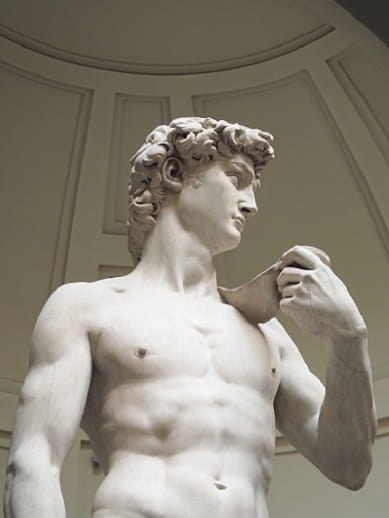 Michelangelo's David in Florence, Italy