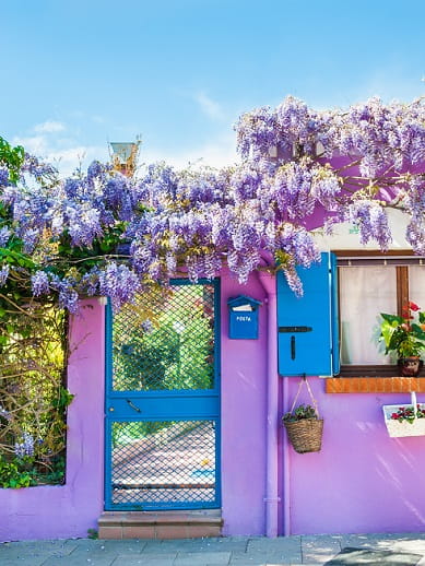 Coloured house on Burano Island - Venice
