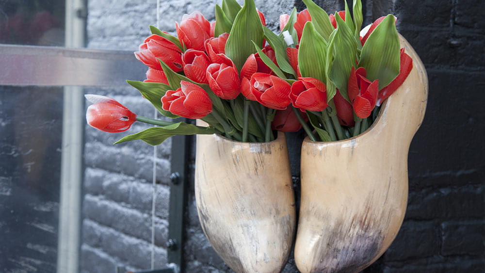 Amsterdam in the Netherlands