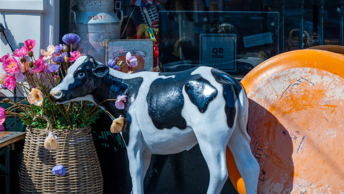 Cheese Museum Amsterdam