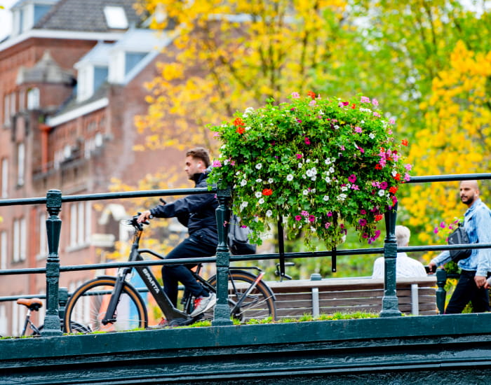 Amsterdam bridge