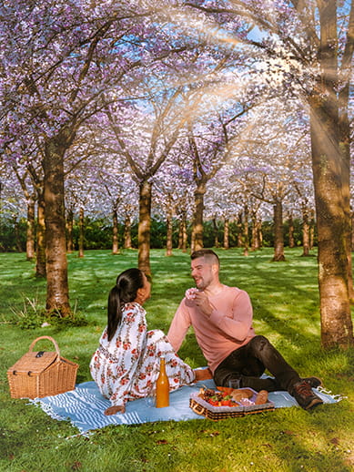 Romantic picnic in a park in Amsterdam