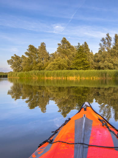 Biesbosch Nature Reserve in the Netherlands