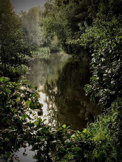 River Trees Park in Eindhoven