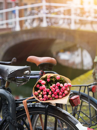 Amsterdam in the Netherlands