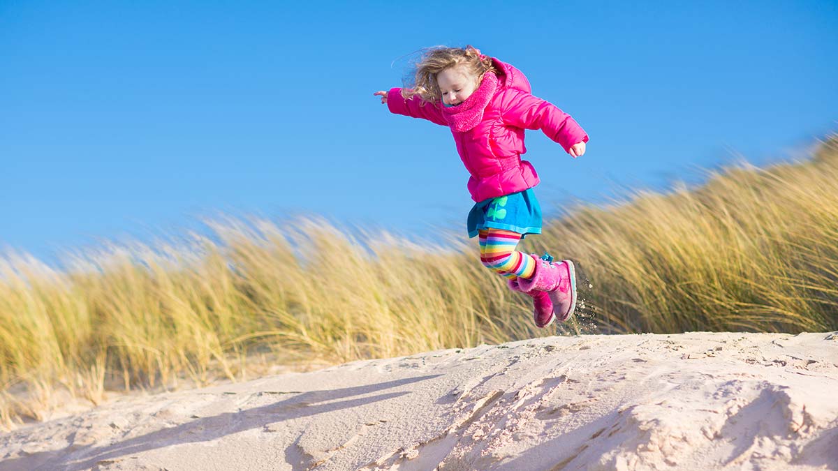 Beach in the Holland