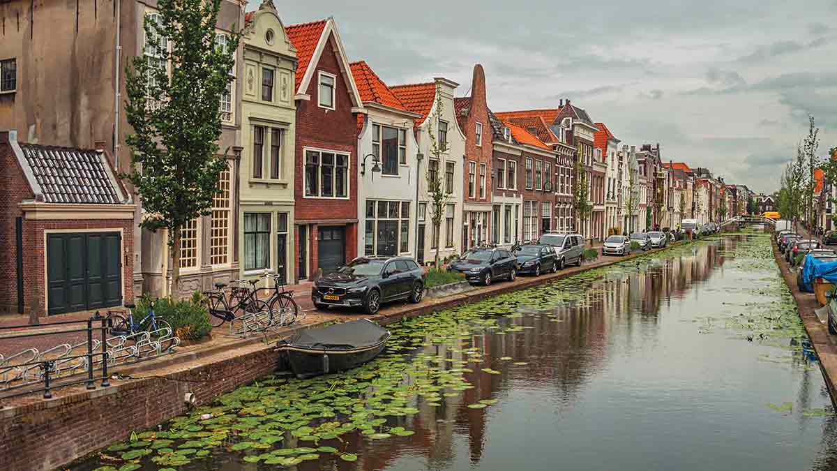 Tree lined street in Gouda