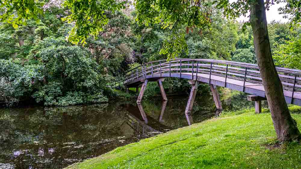 Haagse Bos Forest in The Hague